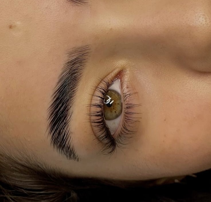 Eyebrow Lamination