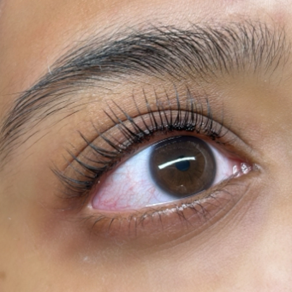 KOREAN LASH LIFT at Essthetic Aura in Papillion, NE