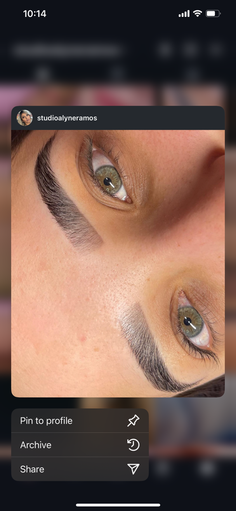 Henna Eyebrow Design