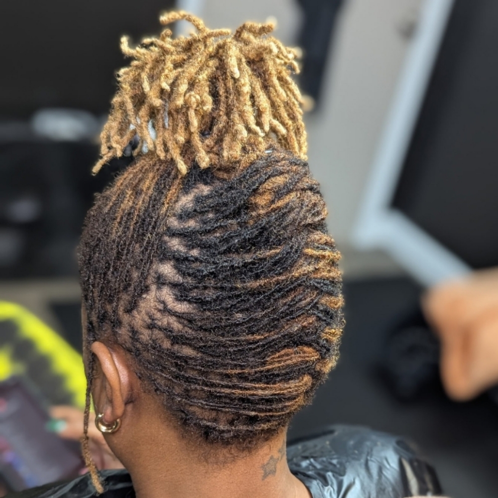 (6-8 Wks) Microloc Maintenance at Stylo Sense LLC in Memphis, TN