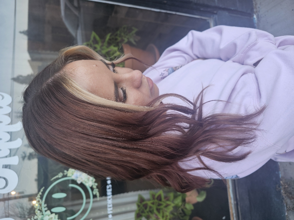 Root Touch Up