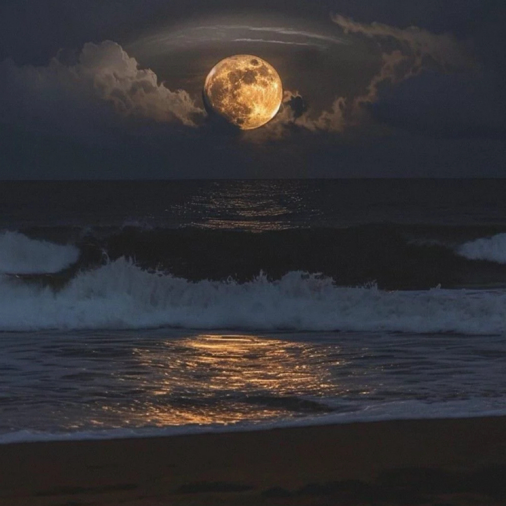 Moonlit Healing Ceremony at Rêvive in Lake Worth Beach, FL
