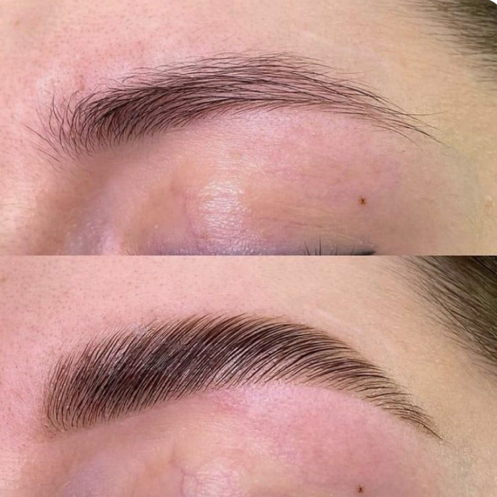Eyebrow Tinting at The Shelton Studio in Shelbyville, TN