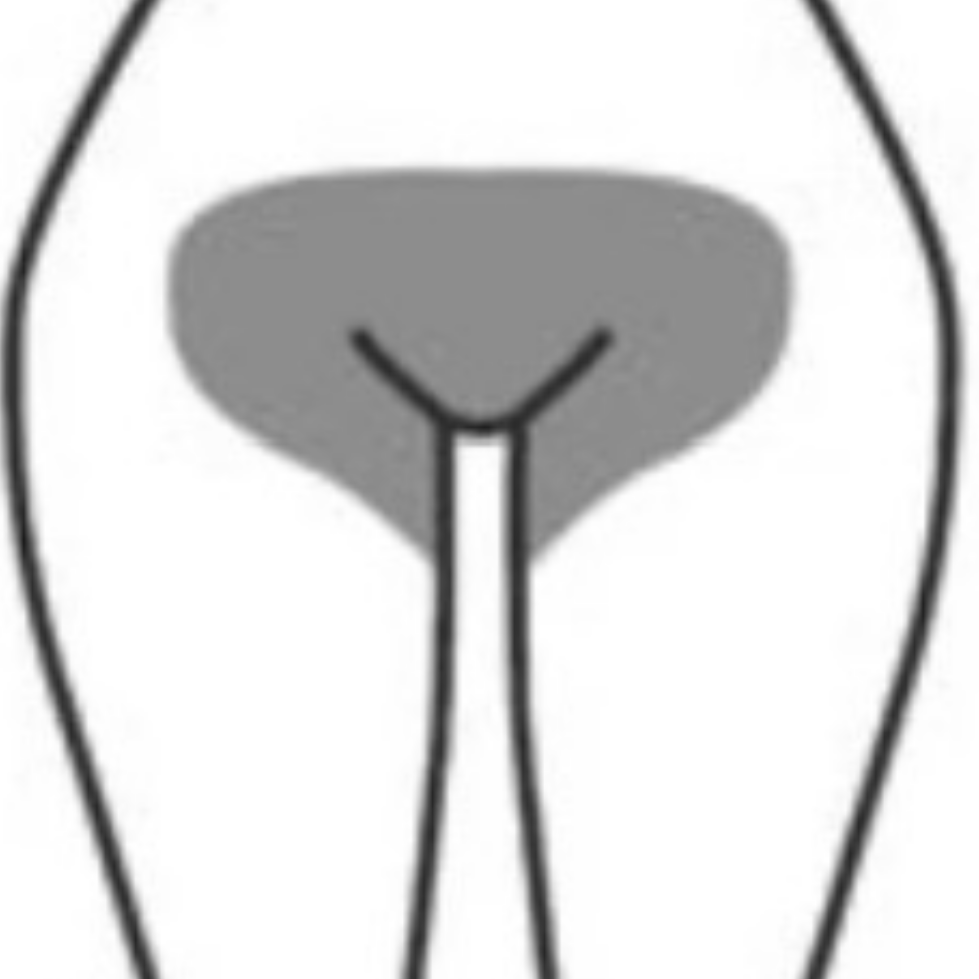 Brazilian Wax at BarebyMari in Port Saint Lucie, FL