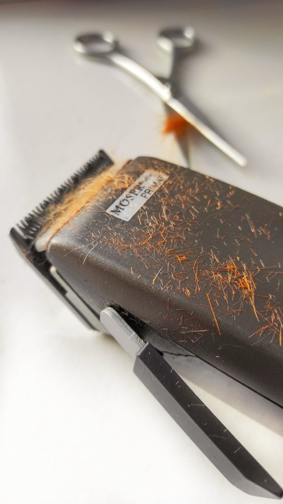 Hair Cut - Short Clipper Cut