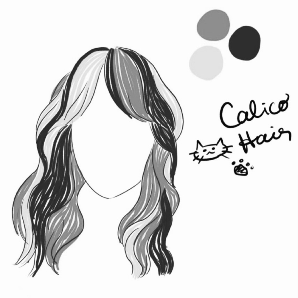 Calico Color at Hypnotik Salon in COLLEGE STATION, TX