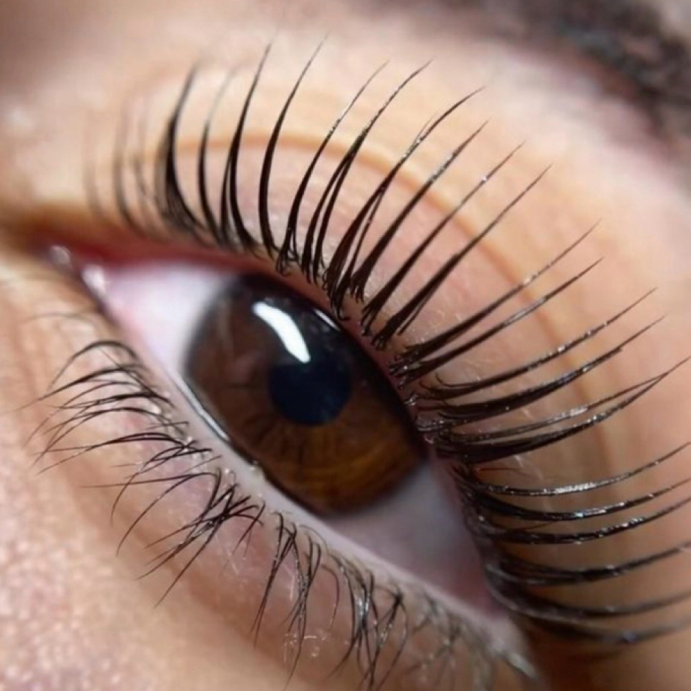 Korean Lash Lift + Tint at G Beauty Bar in Chesterfield, MI