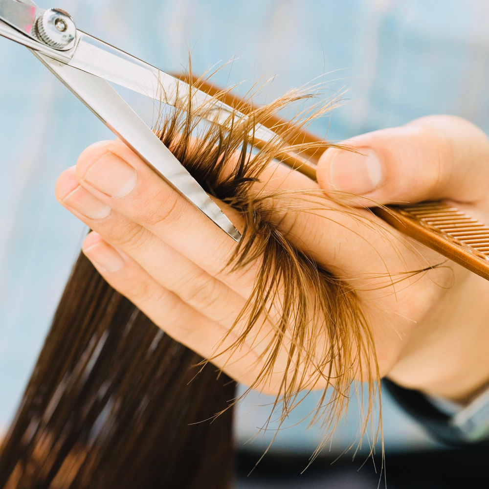 Hair Trim/Cut(with Blowout&style)
