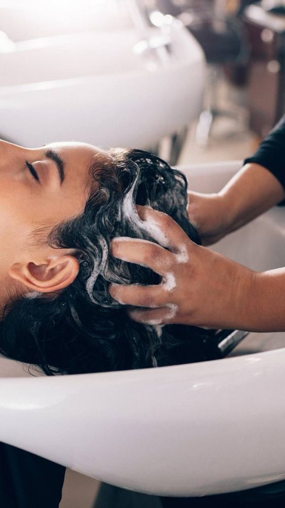 Shampoo And Style