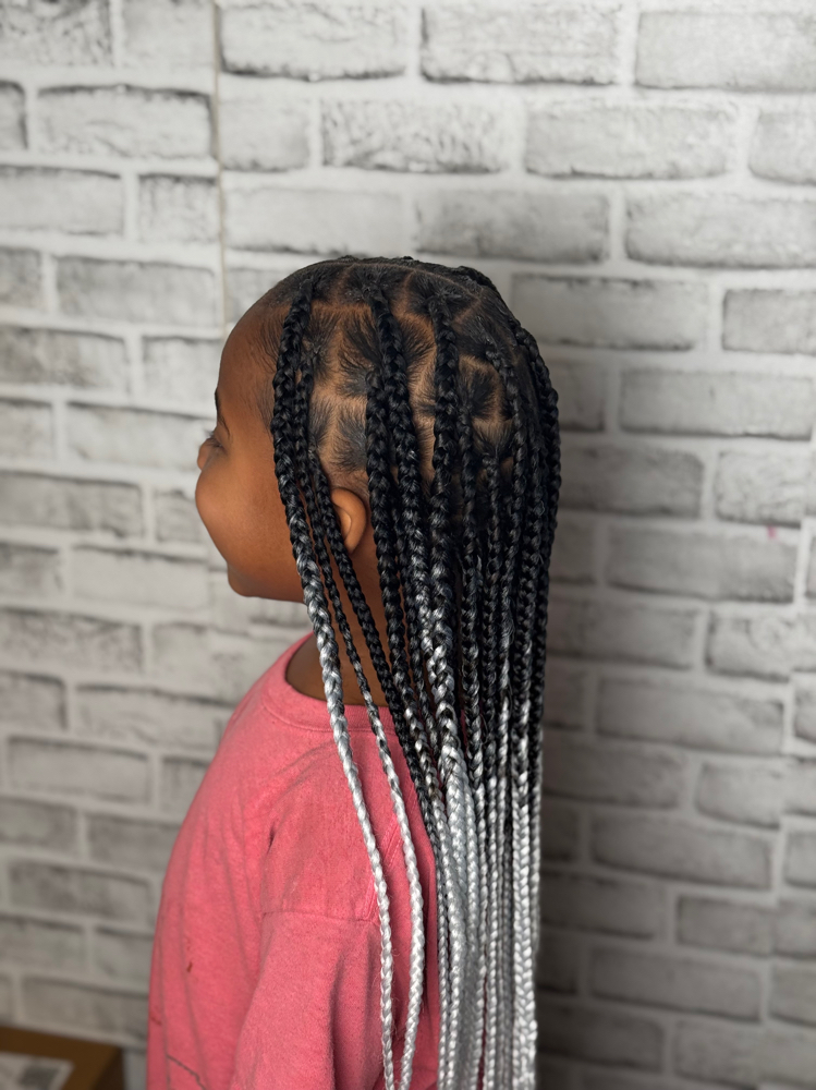Box Braids Services