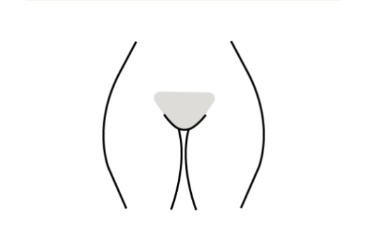 Basic Bikini Wax