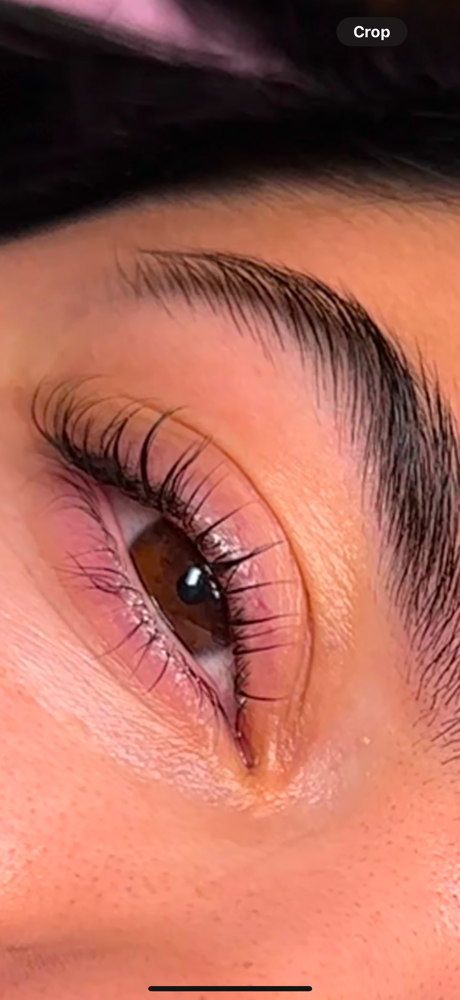 Lash Lift/Tint