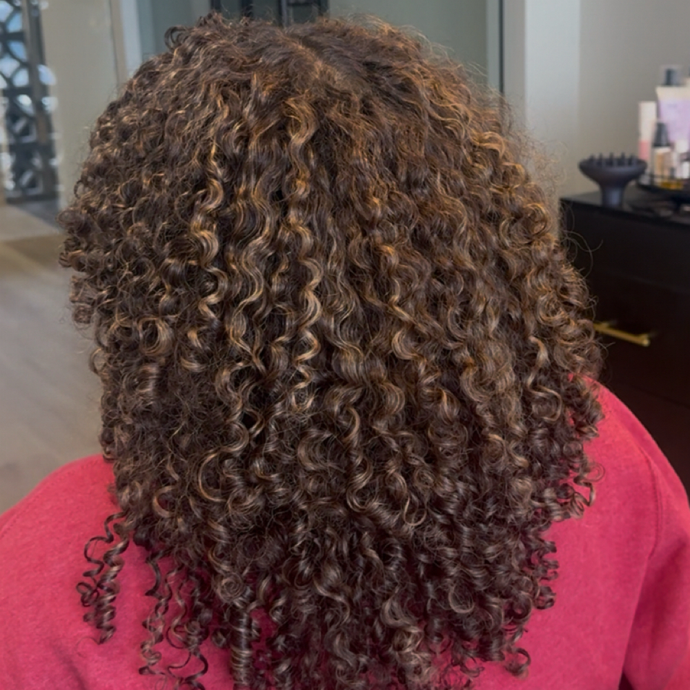Partial Highlight at Hair by Alisha Smartt in Independence, MO