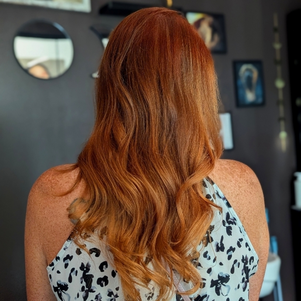 Color & Haircut at Eclipse The New Covenant Salon LLC in CO, CO