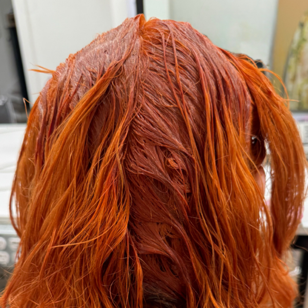 Root Retouch at The Beauty Bug in Spokane, WA