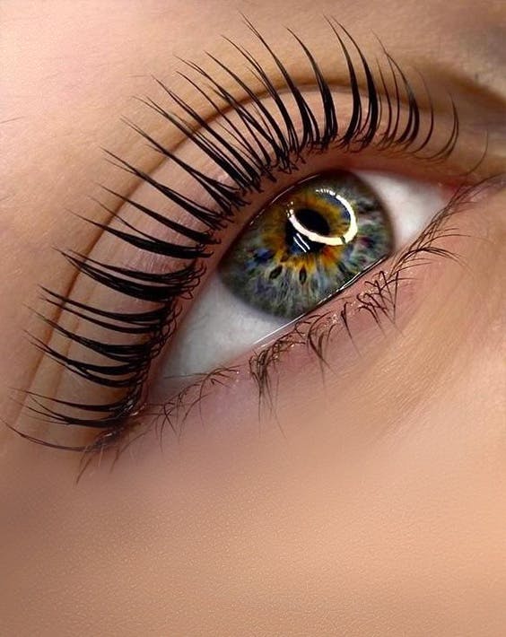 Lash Lift