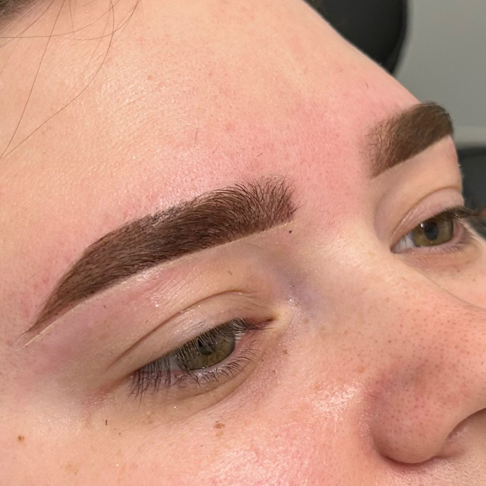 Brow Shape & Hybrid Stain