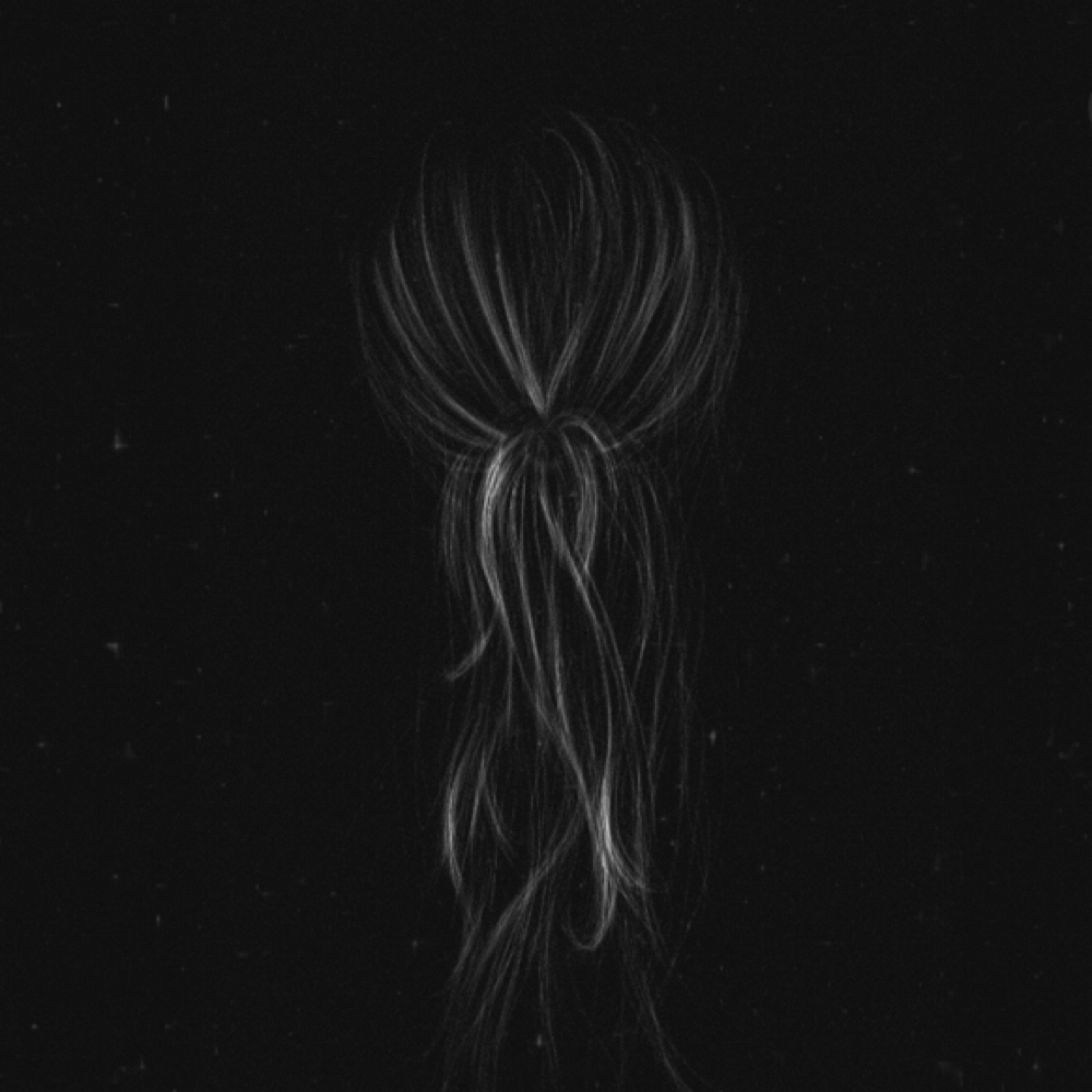 Extensions - Touch-Up at Coastal House of Hair in Merritt Island, FL