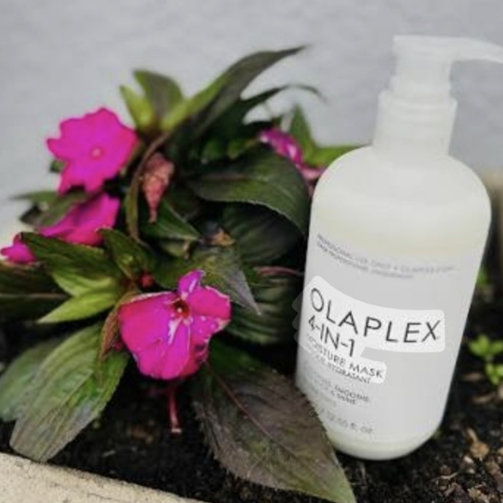 Olaplex Intense Hydration Treatment at Encisions Pro Hair Designs LLC in Madison Heights, MI