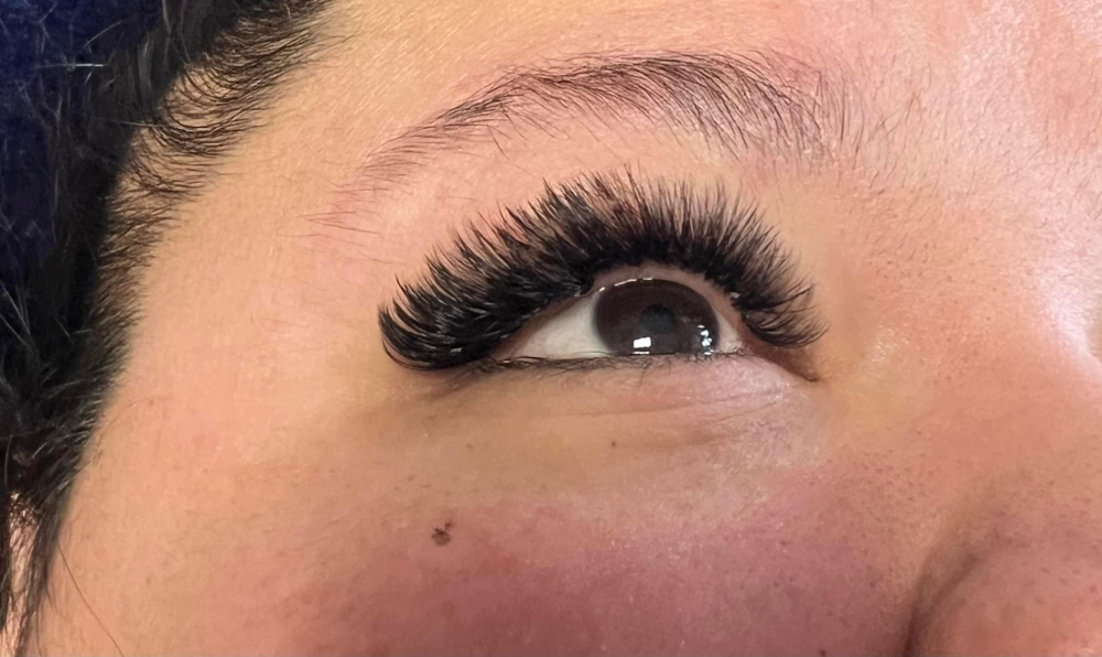 Two Week Volume lash fill