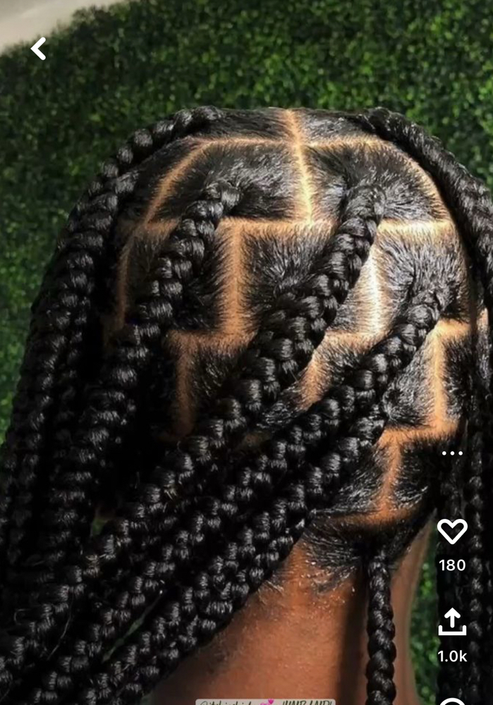 Box Braids/boho/knotless(med/large)