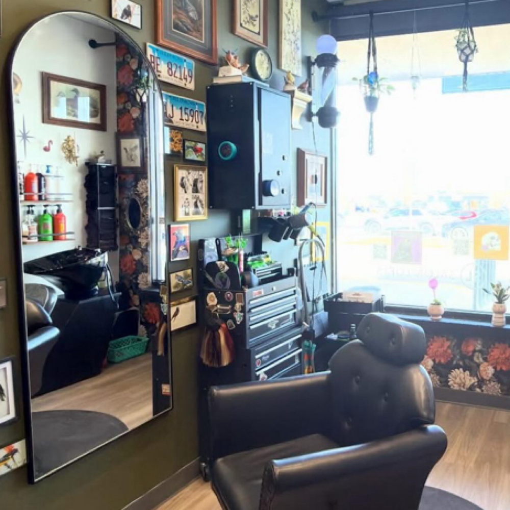 New Client Consultation at Starling Hair Studio in Schaumburg, IL