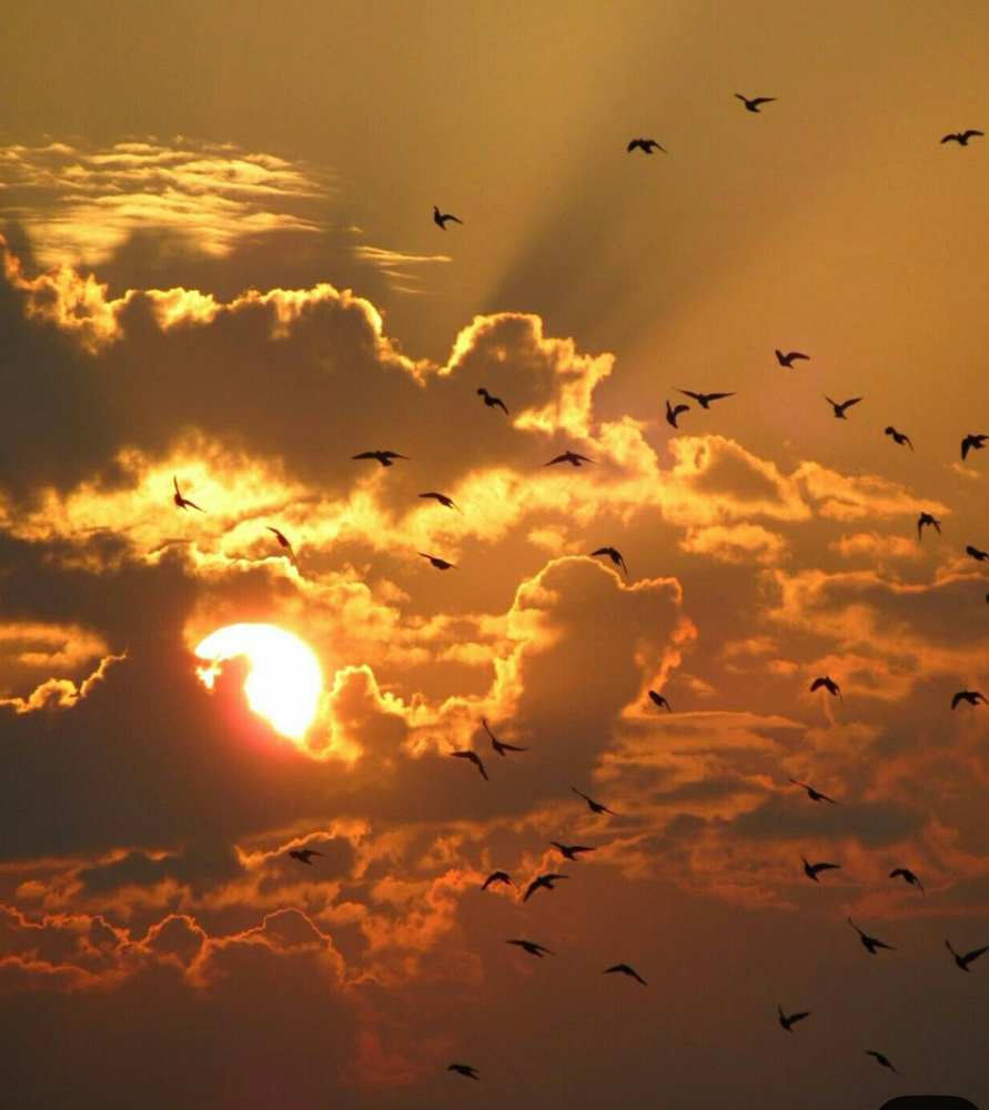 Sundown Facial (Oily/Acne)