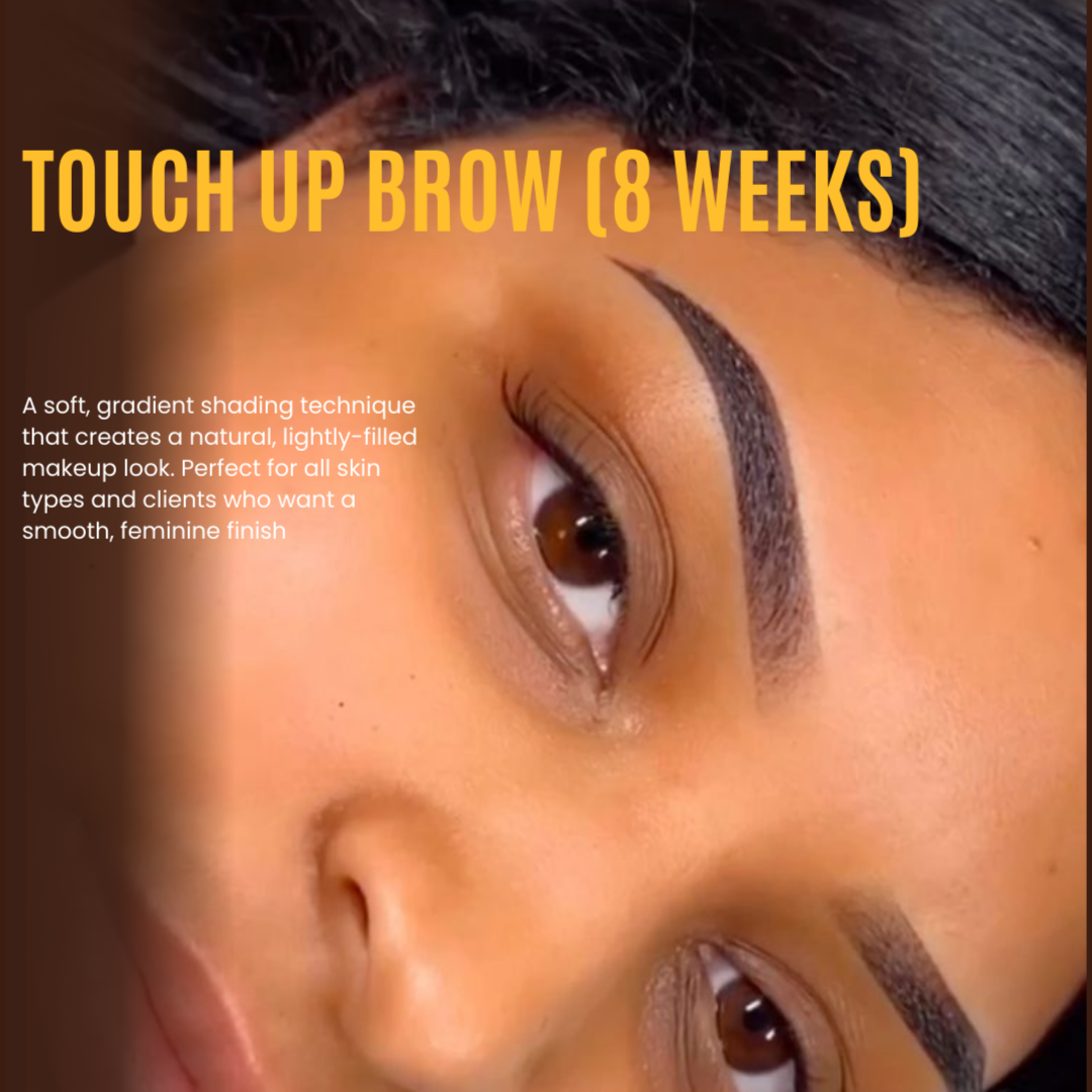 FIRST TOUCH-UP (8-WEEKS FOLLOW -UP) at Maria Brows & Lashes LLC in Chesapeake, VA