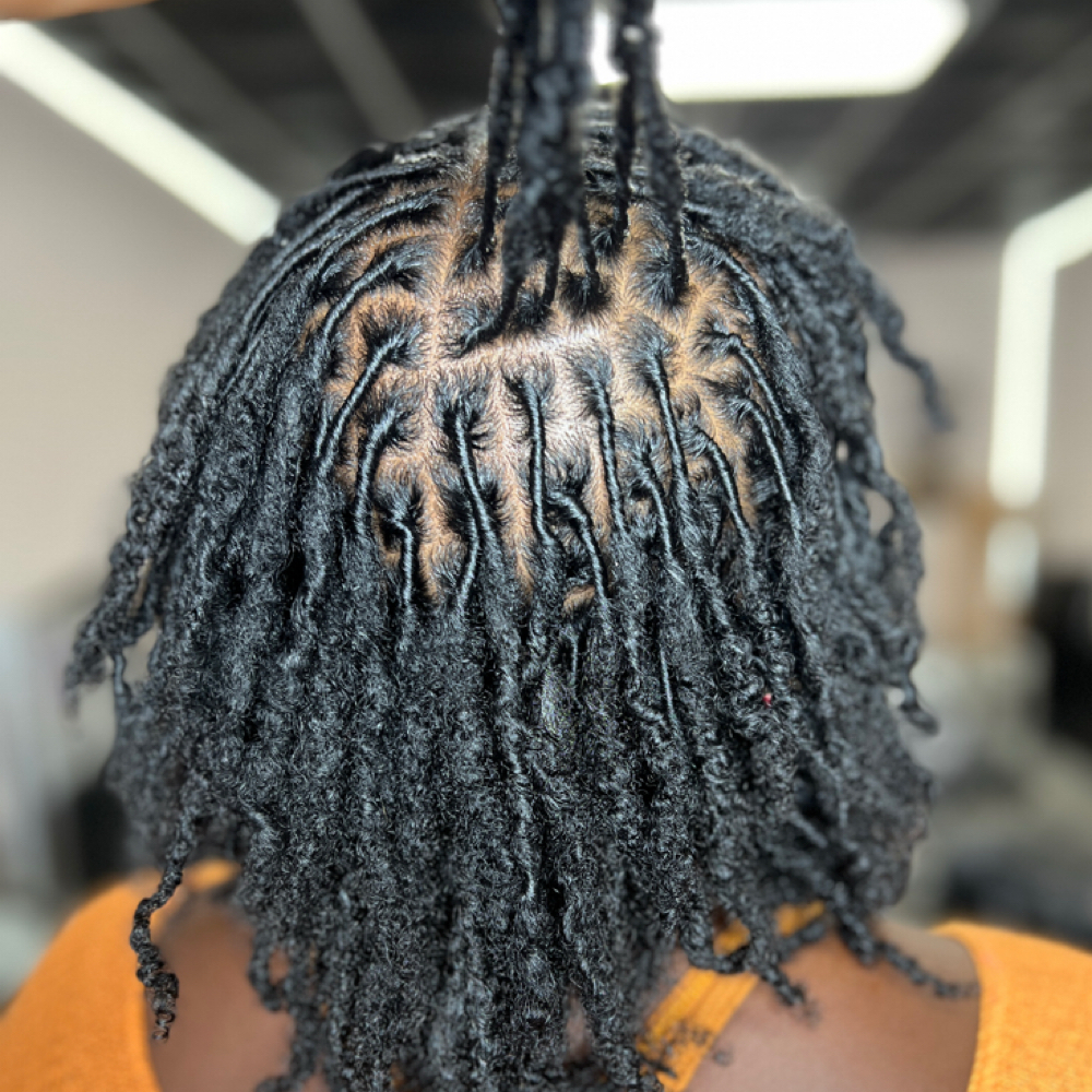 Starter Locs at Anjel Hair and Beauty Studios in College Park, GA