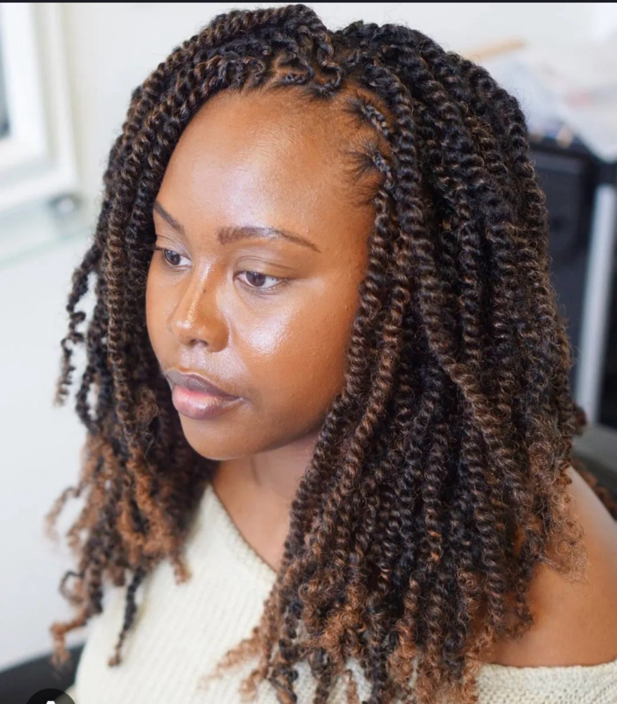 Spring Twist at Beauty Lounge By Mariam |Braids|Makeup|WigInstall| in Spring, TX