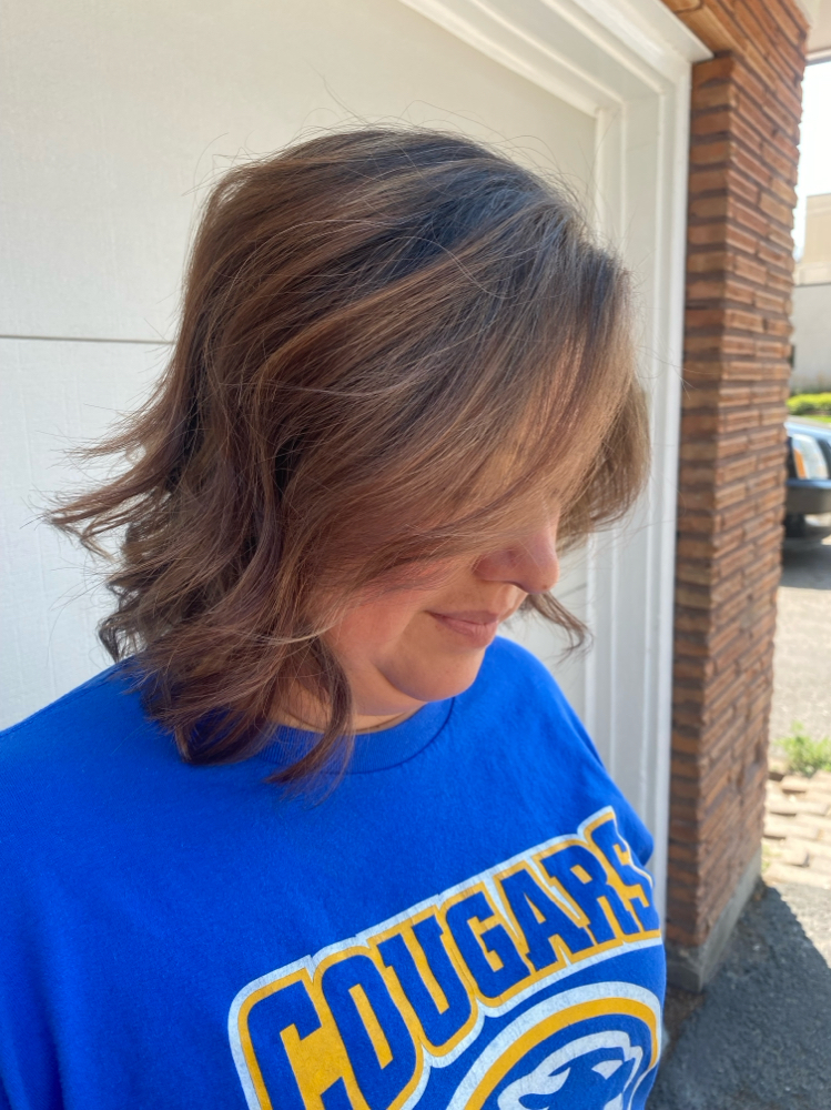 Balyage/ Partial Highlight W/grey