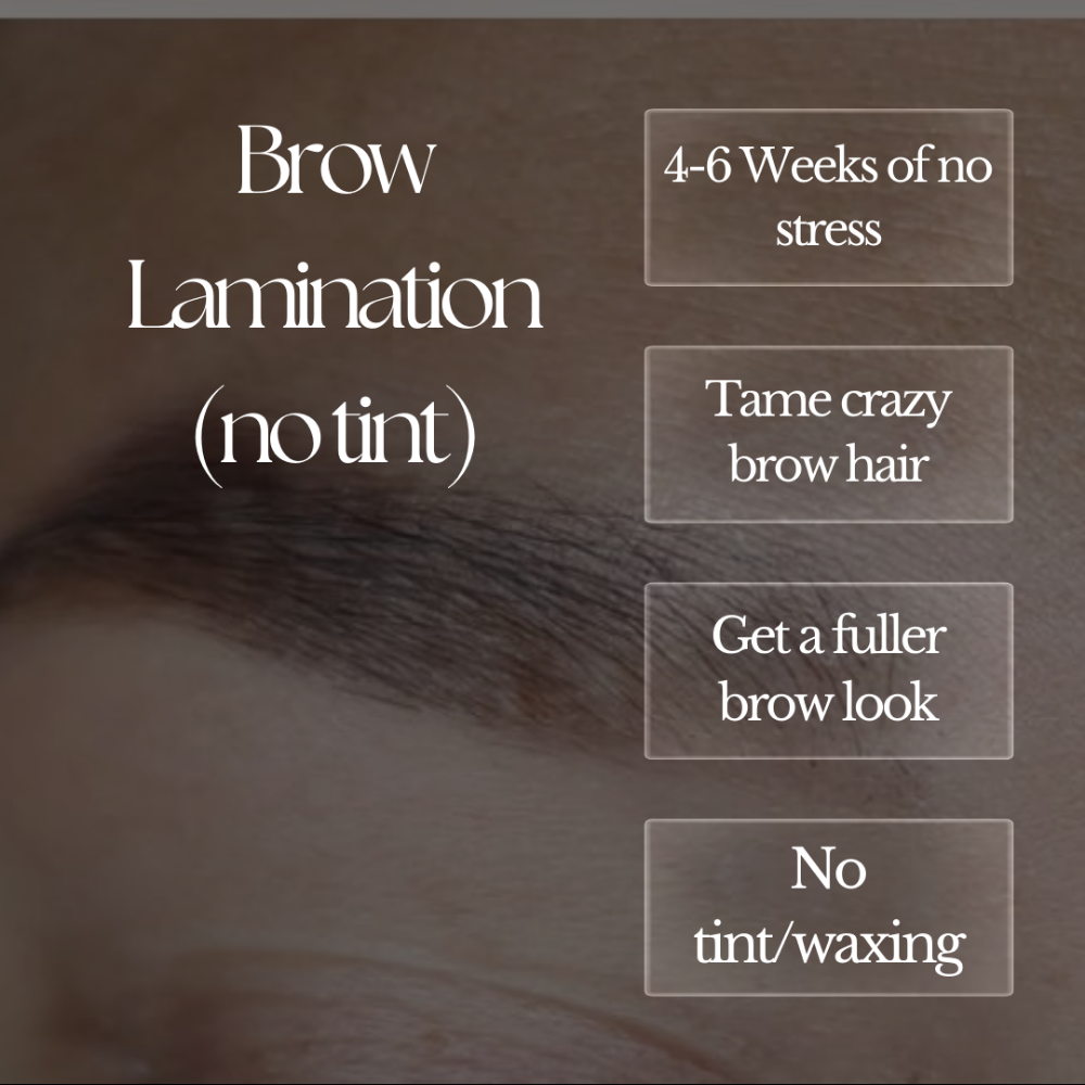 Brow Lamination(No Tint)