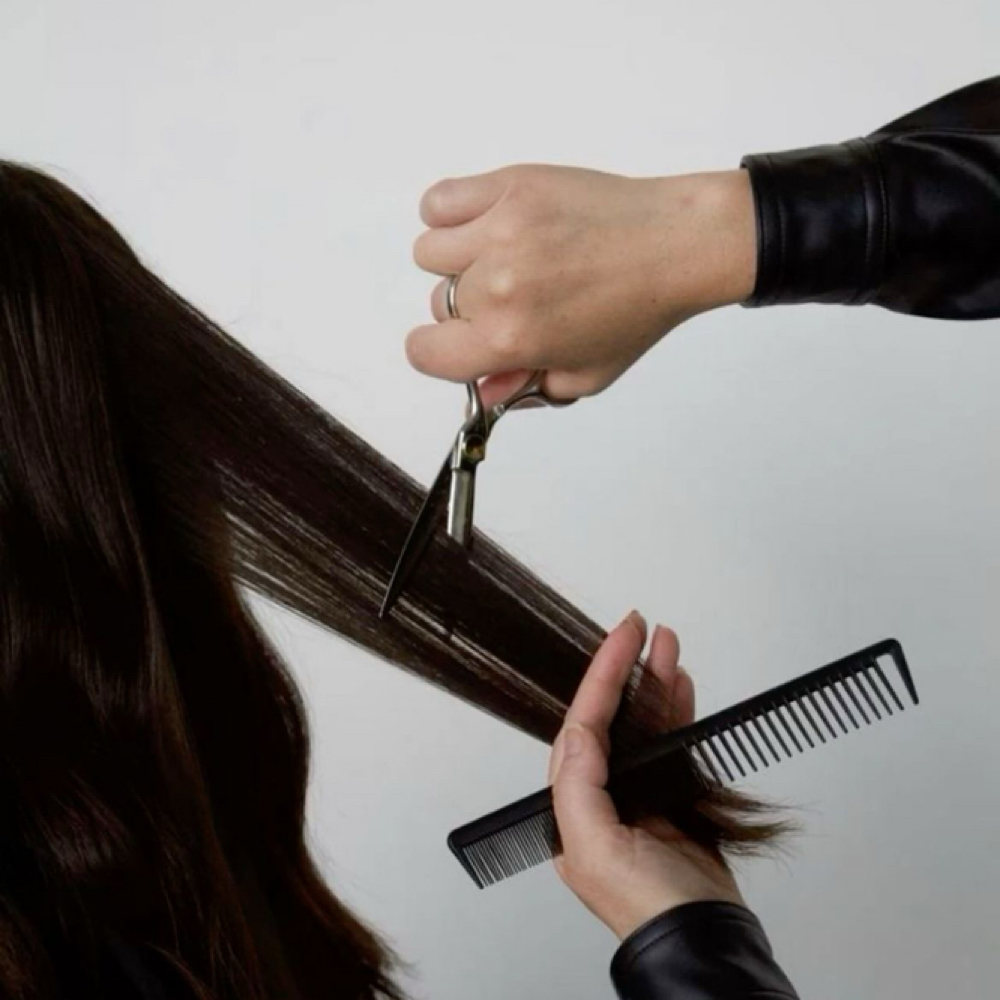 Women’s Maintenance Cut Jas at Southern Pineapple Boutique and Salon in Tomball, TX