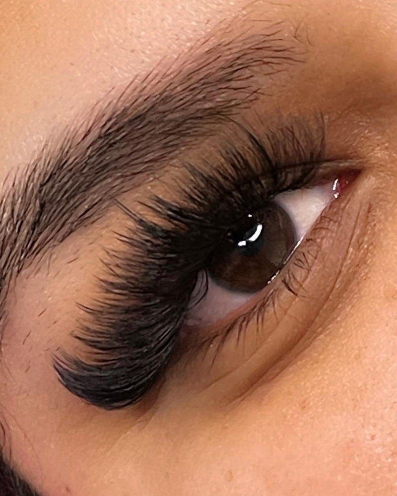 Wispy Mega Volume Fill (2 Weeks)