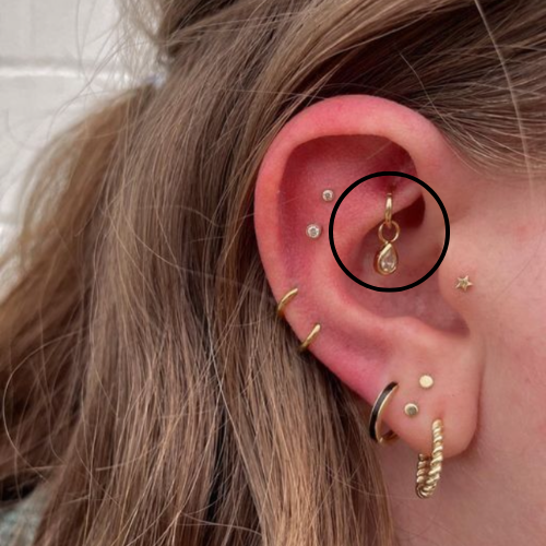 Rook