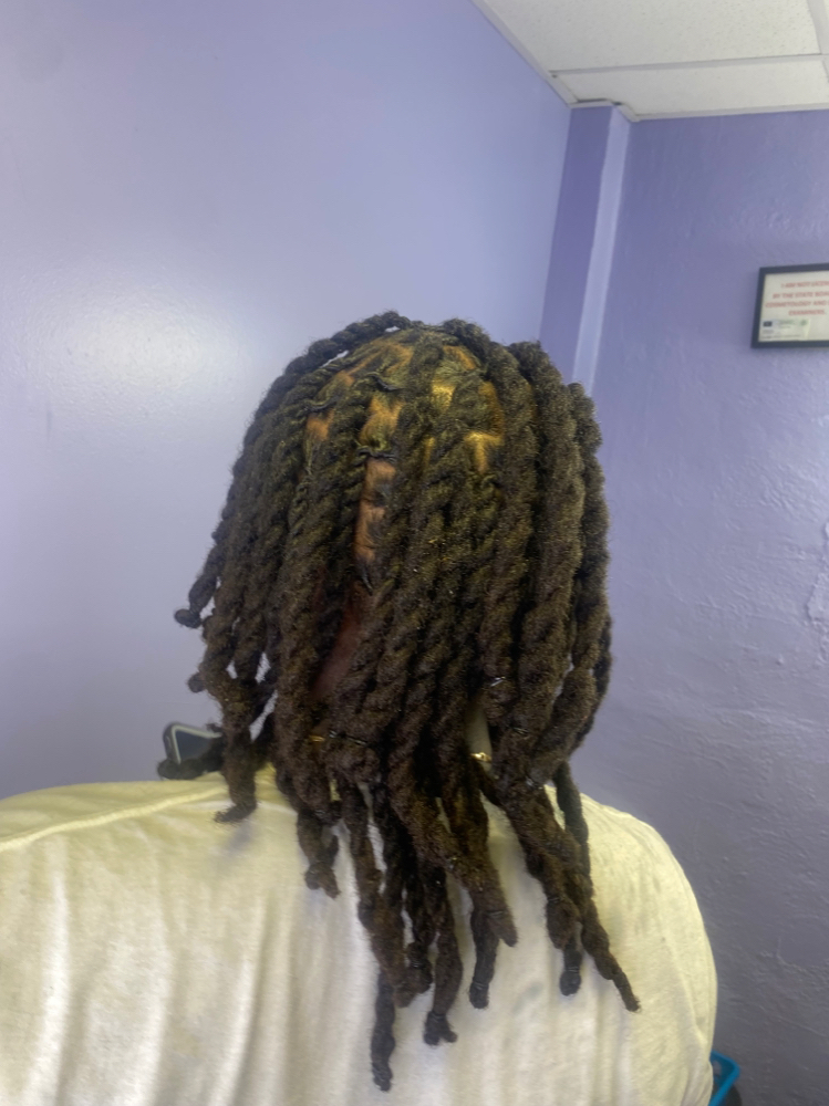Wash/style/2strand*down back to mid