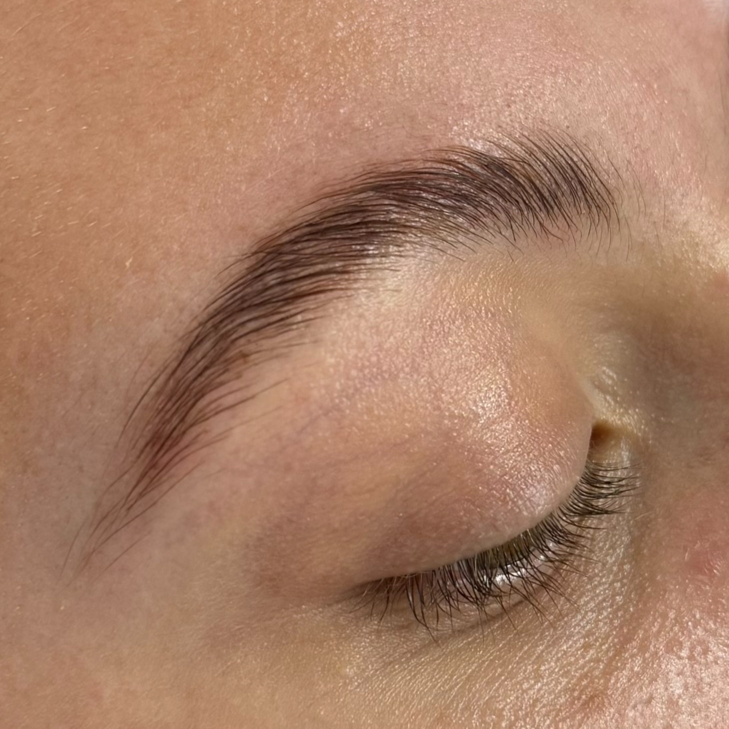 Eyebrow Laminating & Tint at GH Beauty & Co. in Broussard, LA