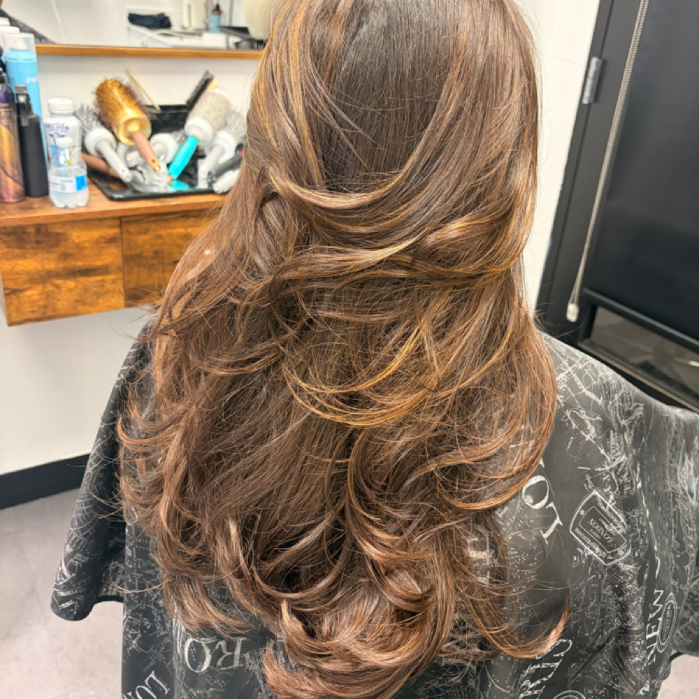Solid colors at lushbrowsnhair in Dearborn, MI