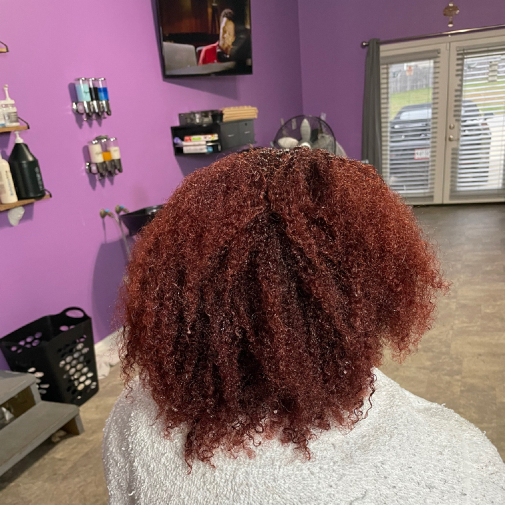 Basic Hair trim at Crown’D Claws in Clarksville, TN