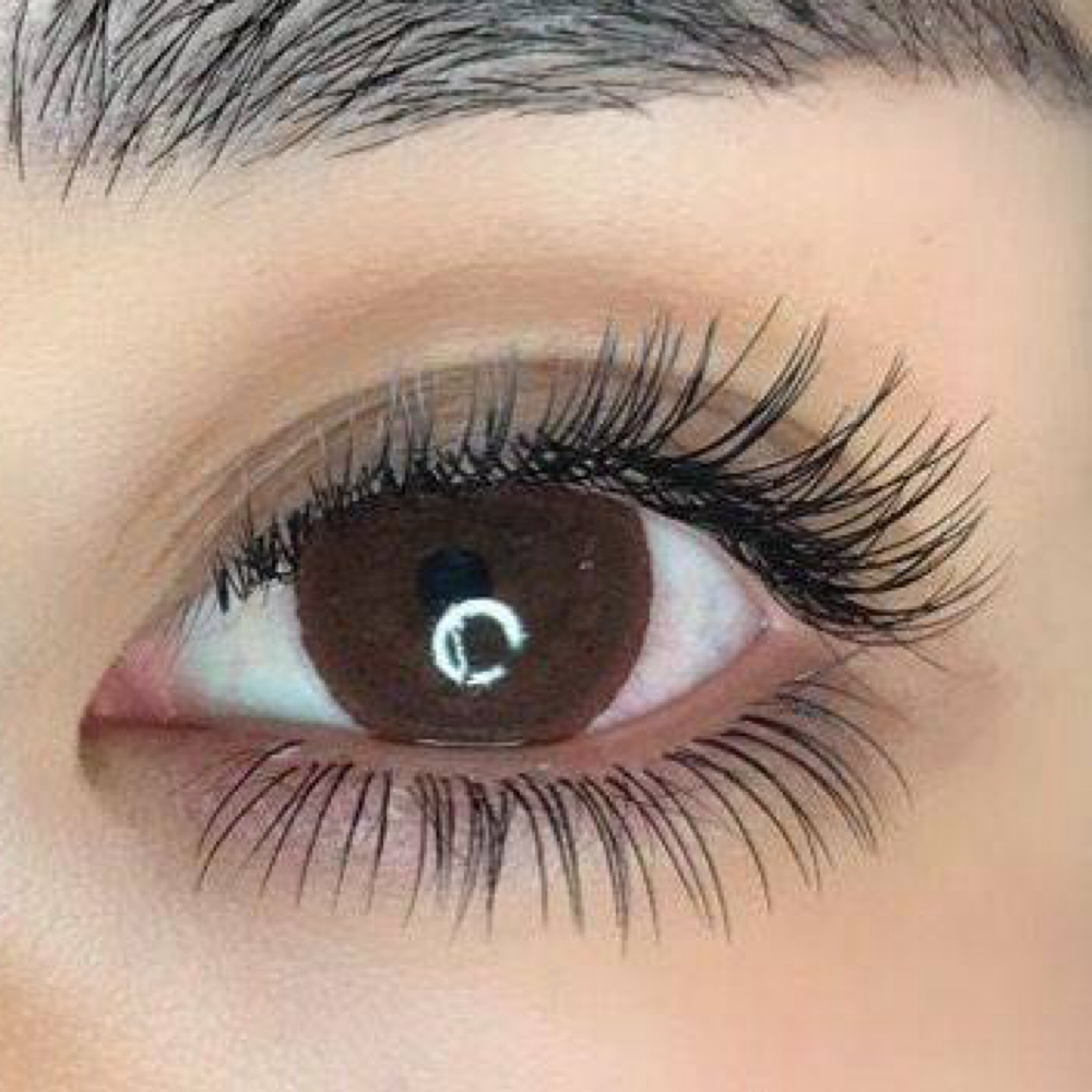 Bottom Lashes at Lash by Xu in HOUSTON, TX