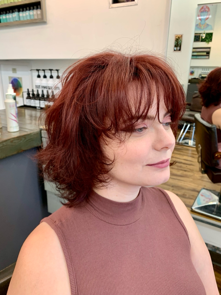 Women’s Haircut/Style
