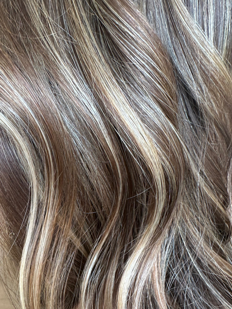 Mini at Caylee Brown in Marshalltown, IA