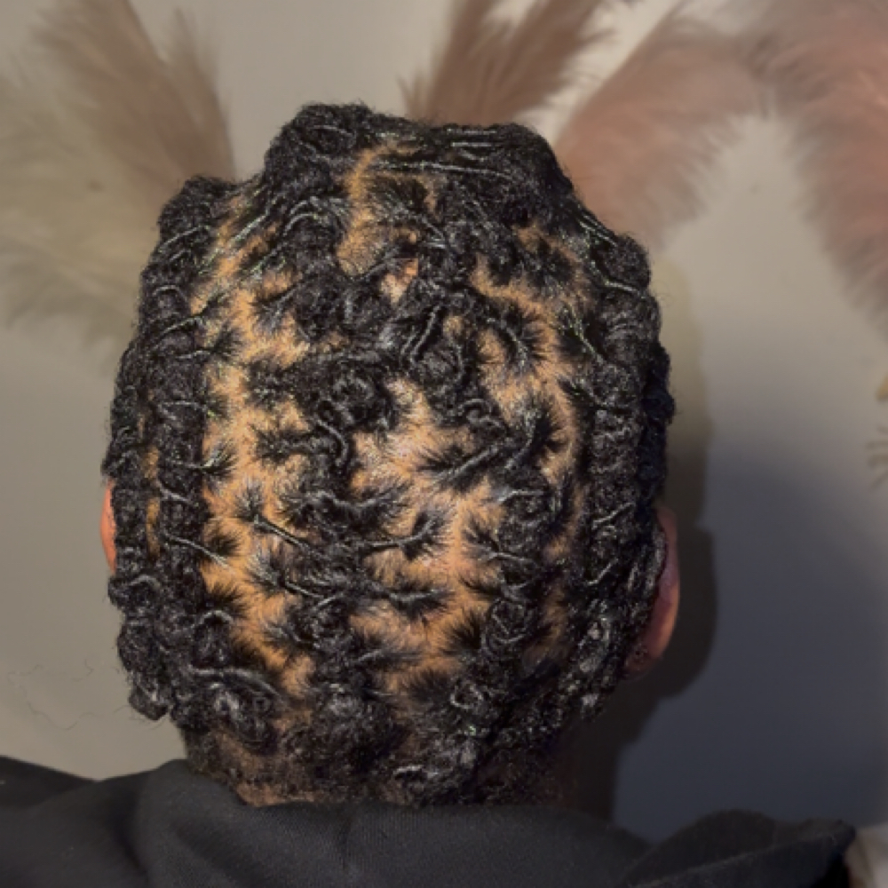 60-100 locs, Up to ear length. at 𝐀𝐧𝐨𝐢𝐧𝐭𝐞𝐝 𝐋𝐨𝐜𝐬™ 𝐓𝐫𝐢𝐜𝐡𝐨𝐥𝐨𝐠𝐲 𝐒𝐭𝐮𝐝𝐢𝐨𝐬 in Chicago, IL