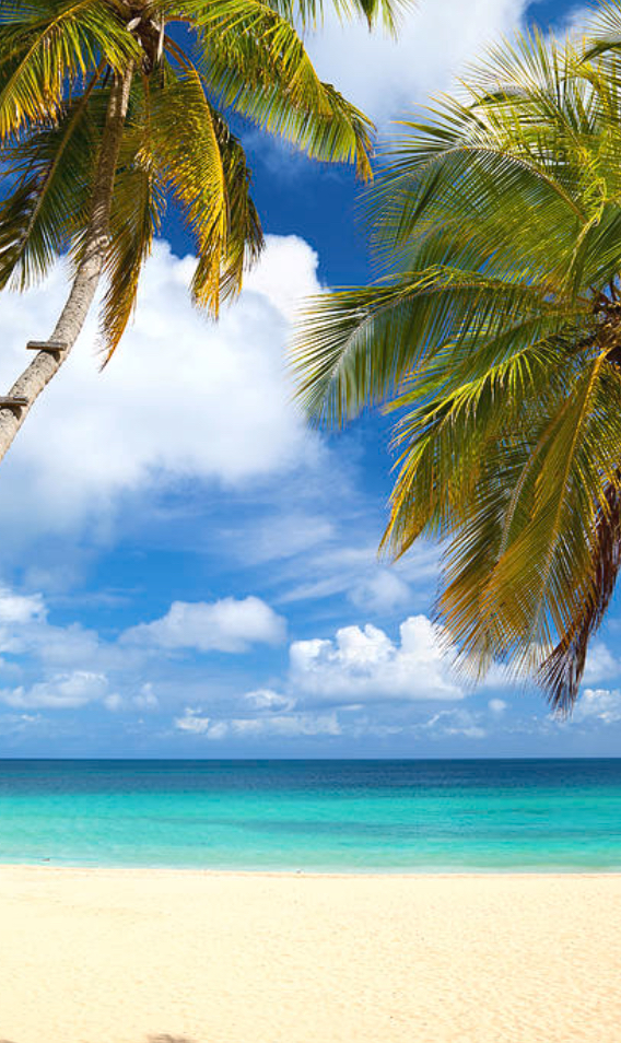 Prepaid Tanning Package