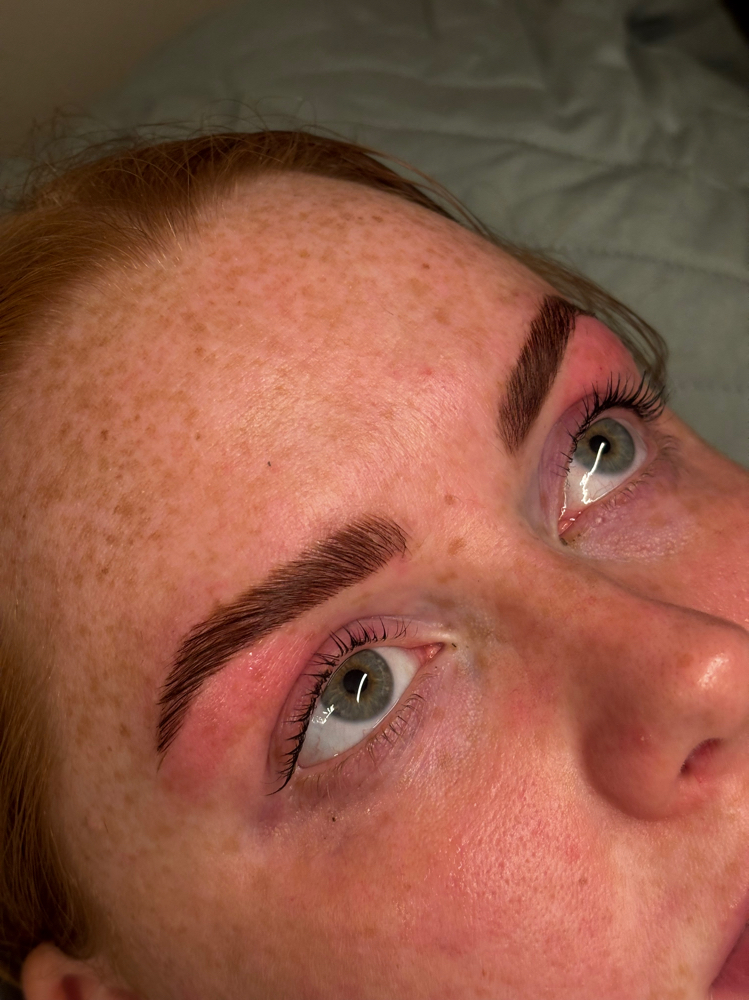 Brow Trio (Lami + Tint + Wax) at Leigh Radiance in Staunton, VA