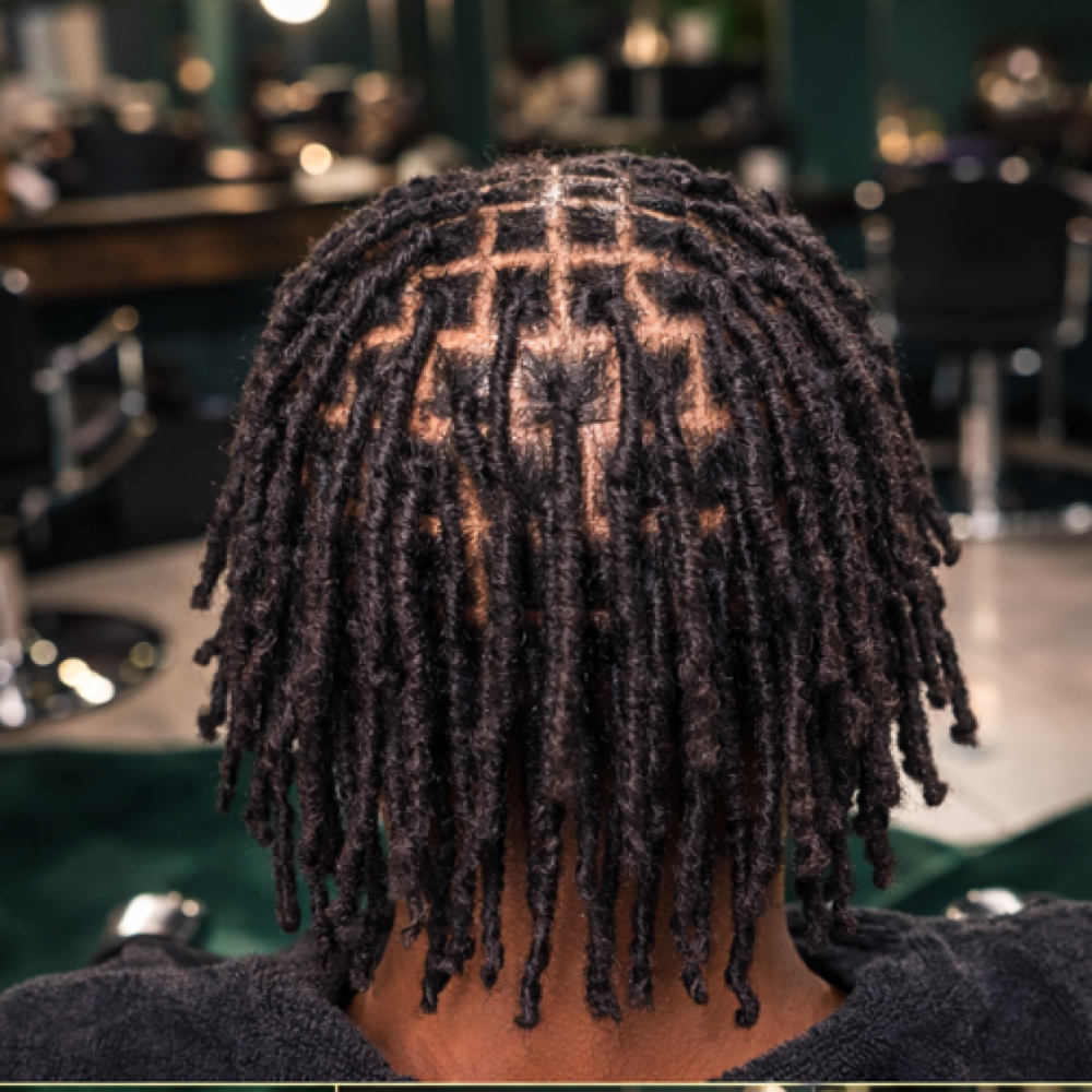 Starter Locs at Loc Kween Studios in Woodbridge, VA