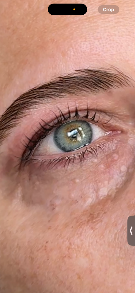 Eyebrow Stain, Lamination & Wax