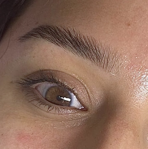 Brow Wax + Shape