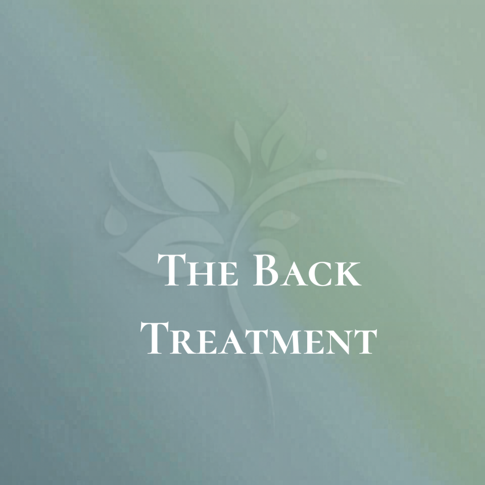 The Back Treatment at Elysian Esthetics Spa in Loganville, GA