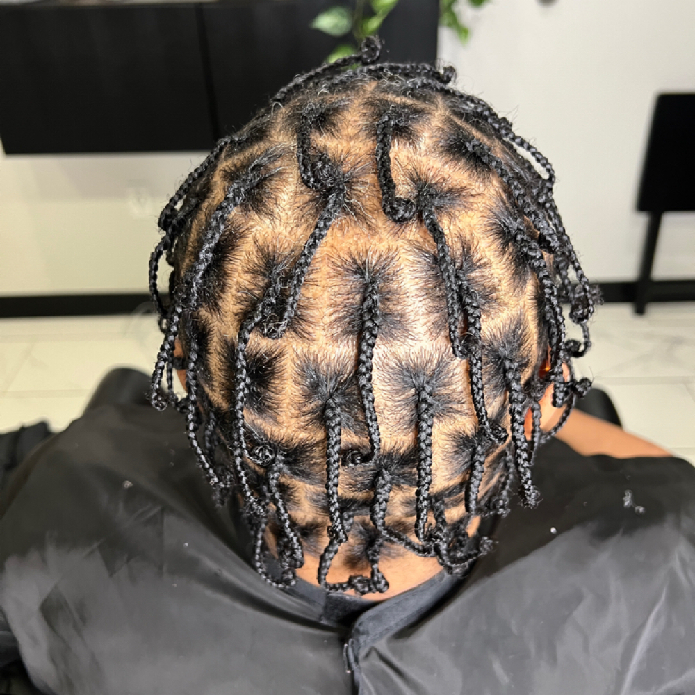 Twists Or Plats (No Hair Added) at Braid Work in Plano, TX